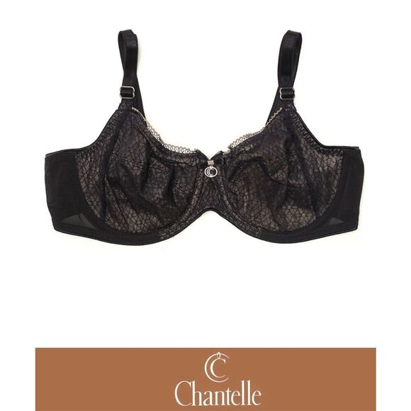 NEW Chantelle CHL2211 C-Graphique 3-Part Cup Underwire Bra 34DD - Picture 1 of 3